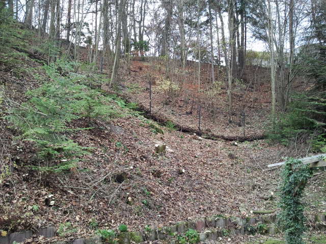 2012-11-17 10.57.56.jpg