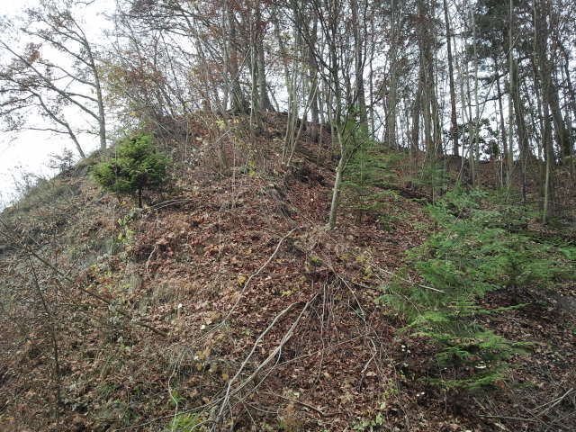 2012-11-17 10.58.02.jpg