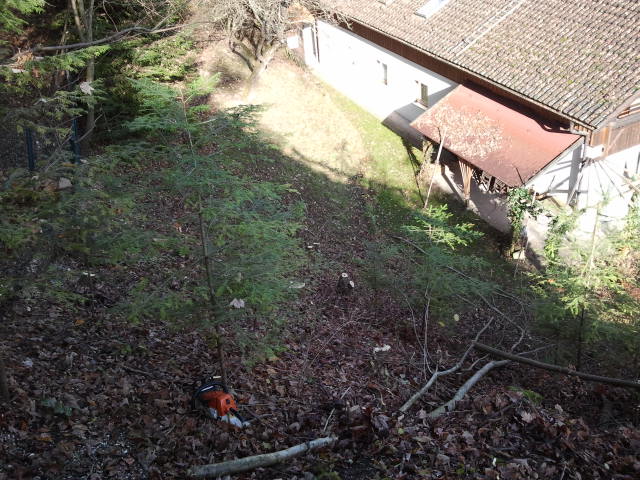 2012-11-17 12.13.08.jpg