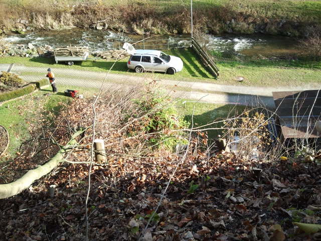 2012-11-17 12.13.12.jpg