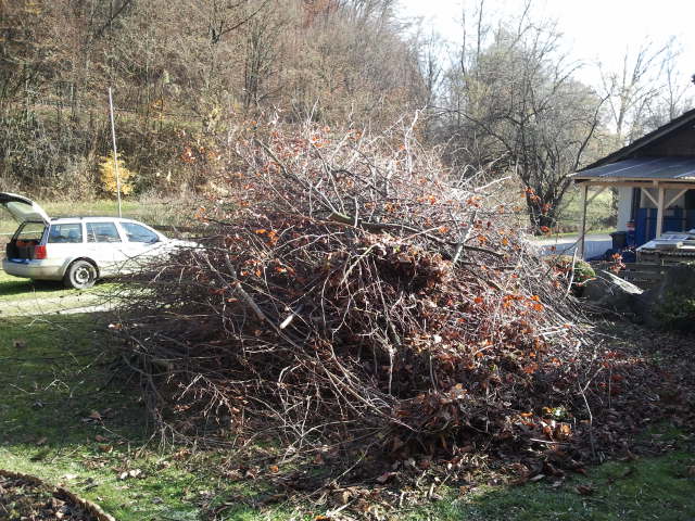 2012-11-17 12.52.58.jpg