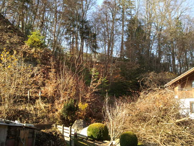 2012-11-17 12.53.39.jpg