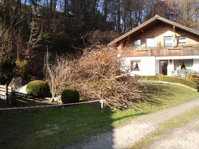 2012-11-17 12.53.42.jpg