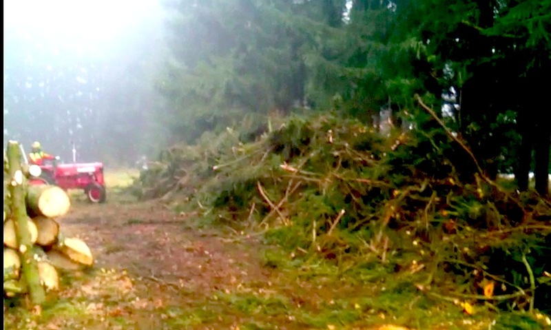 Bildschirmfoto 2012-11-17 um 17.17.25 Kopie.jpg