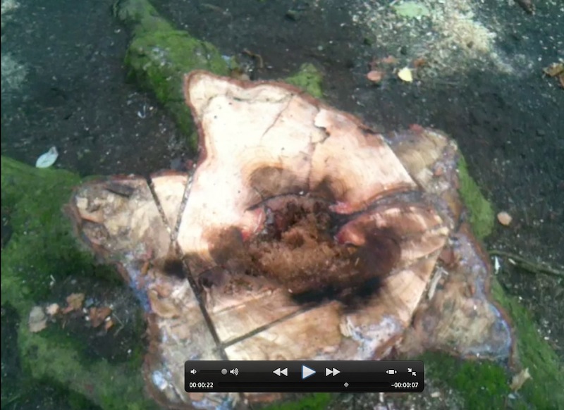 Bildschirmfoto 2012-11-21 um 21.51.34.jpg