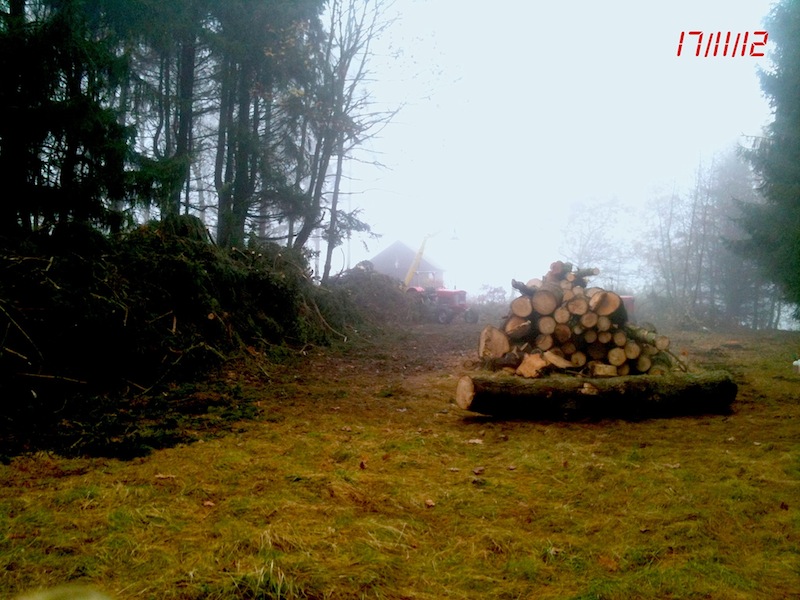 original(5) Kopie.jpg