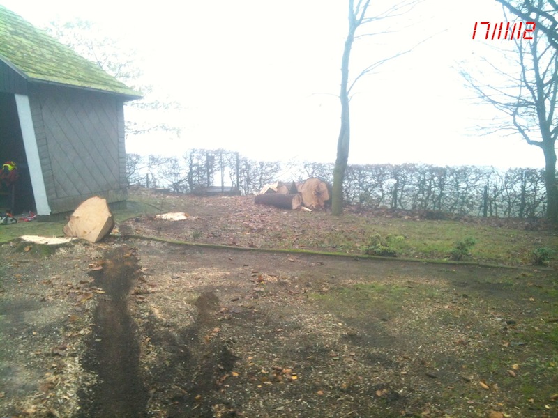 original(10) Kopie.jpg