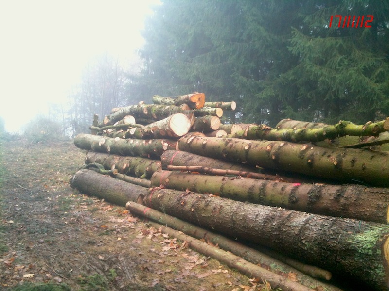 original(18) Kopie.jpg