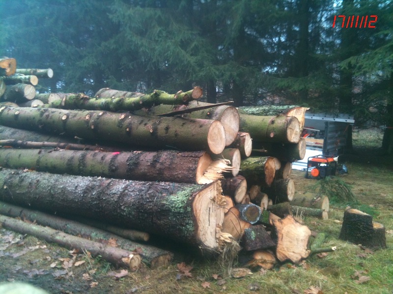 original(19) Kopie.jpg