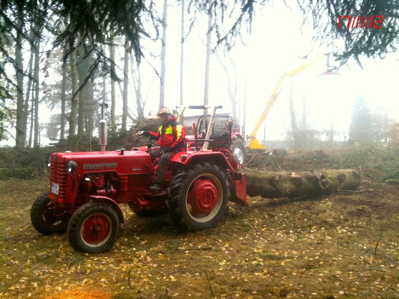 original(25) Kopie.jpg