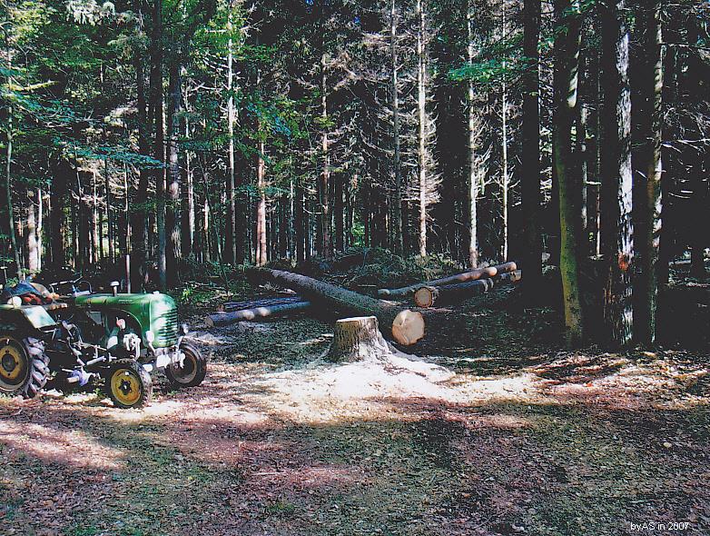 STEYR_T80_im_Wald_2007.jpg