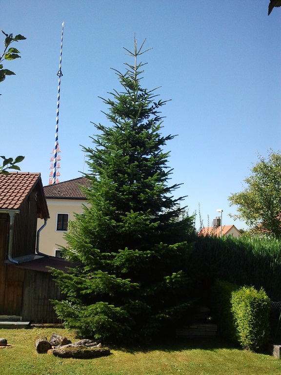 2012-09-08 13.45.40.jpg