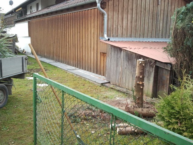 2012-11-22 11.09.41.jpg