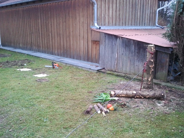 2012-11-23 15.50.03.jpg