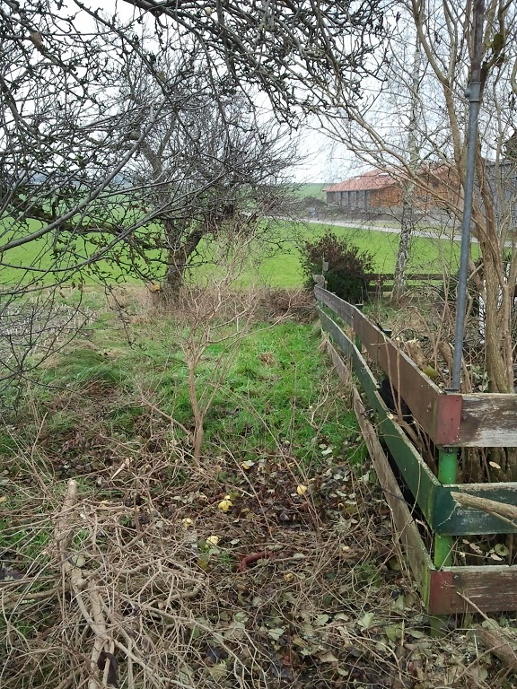 2012-11-23 14.14.41.jpg