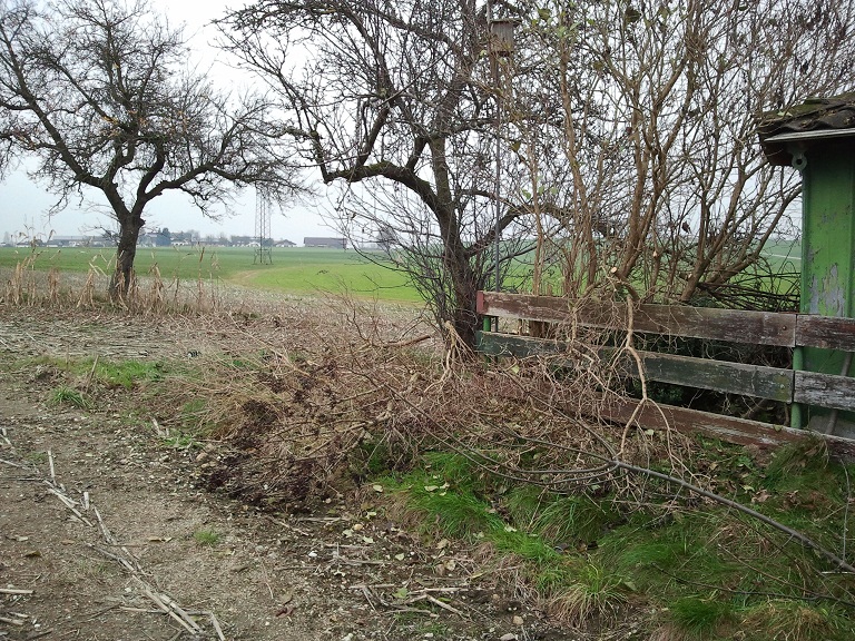 2012-11-23 14.14.54.jpg