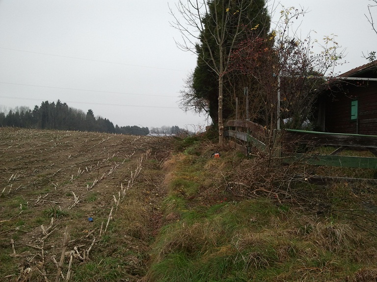 2012-11-23 14.34.02.jpg