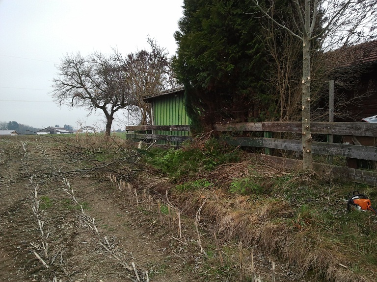 2012-11-23 14.34.13.jpg