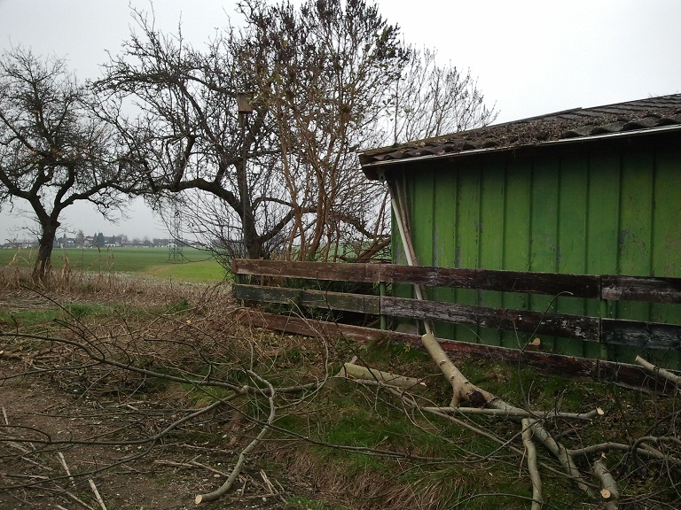 2012-11-23 14.34.24.jpg