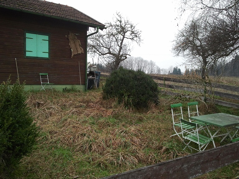 2012-11-23 14.59.59.jpg