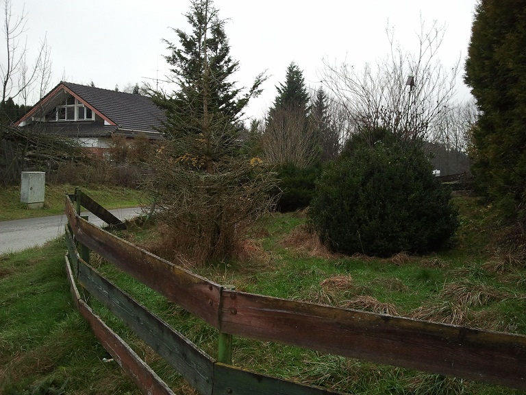 2012-11-23 15.00.16.jpg