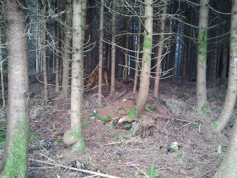 2012-11-24 10.02.47.jpg