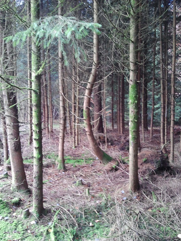 2012-11-24 10.02.59.jpg