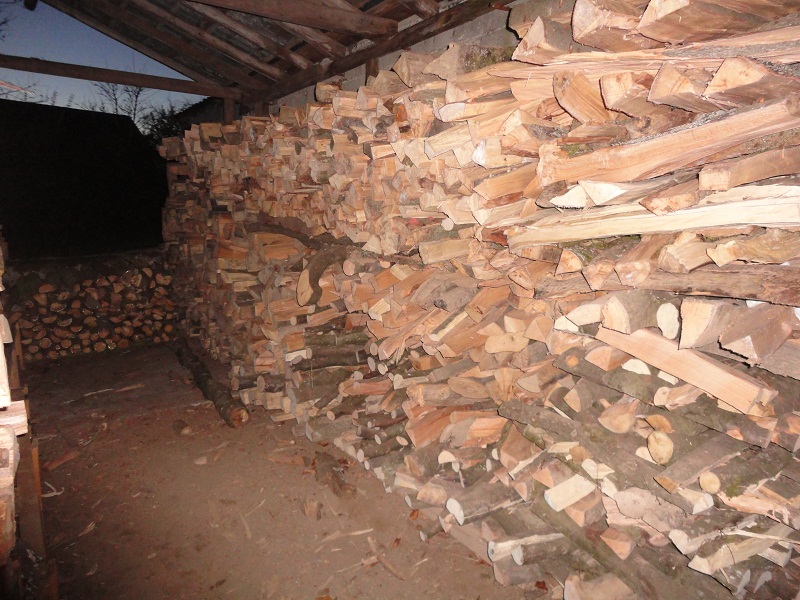 2_3%20vom%20Brennholz2.jpg