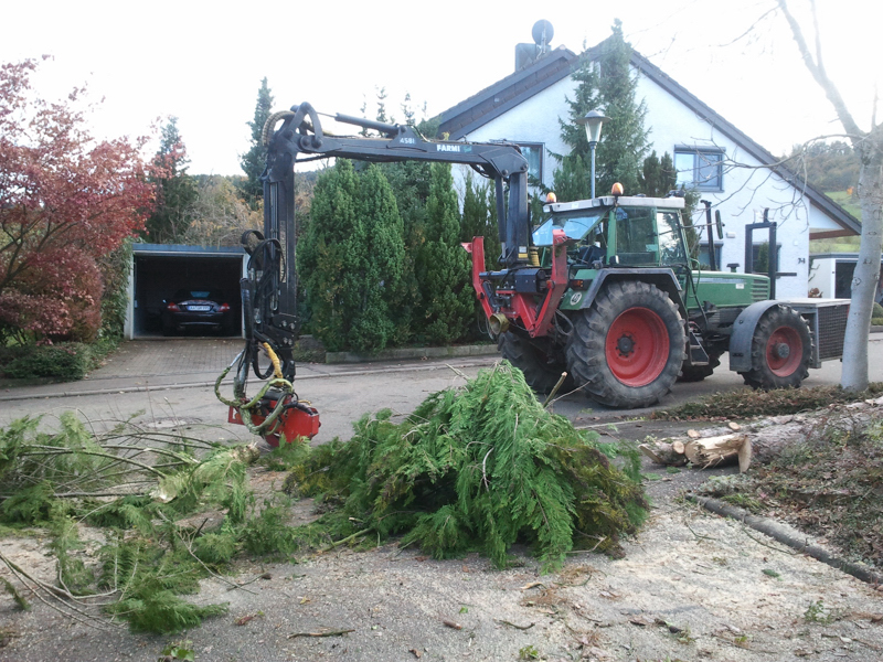 2012-11-03 15.20.41 002.jpg