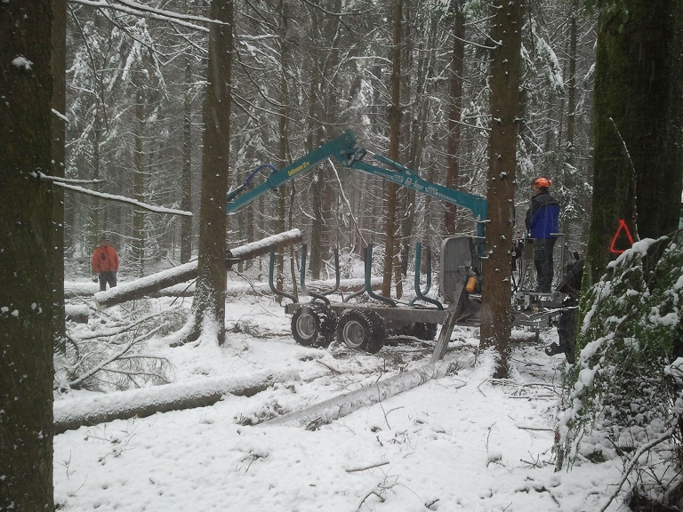 2012-12-06 14.02.10.jpg