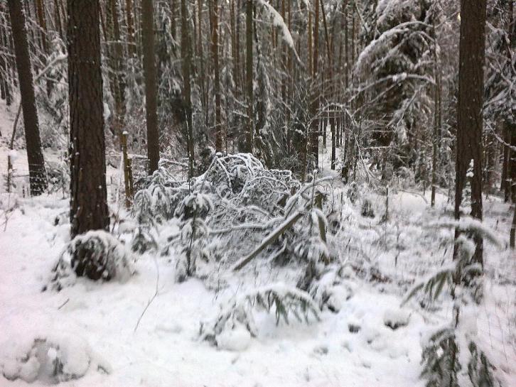 SchneebruchDezember 004.jpg