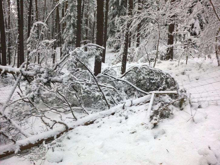 SchneebruchDezember 005.jpg