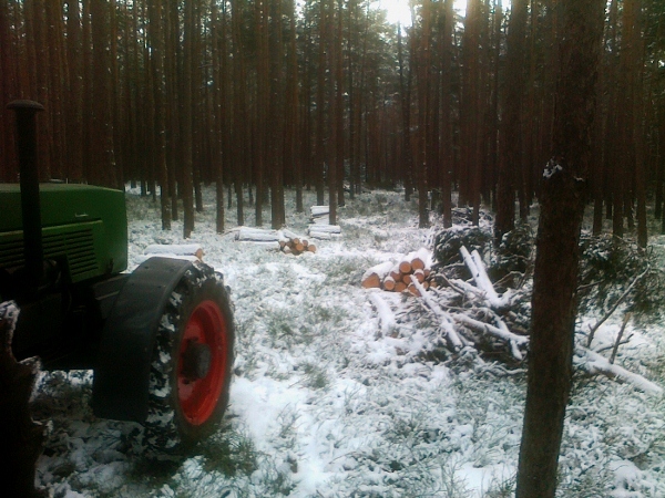 081220121104 (700x525) (600x450).jpg