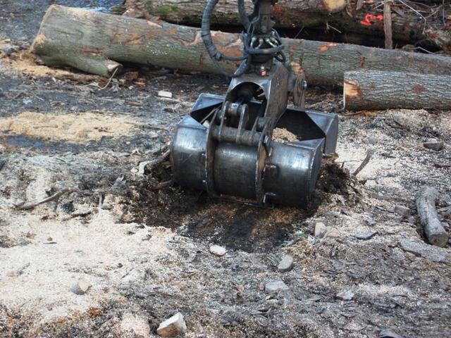 Kopie von DSCF6353.JPG