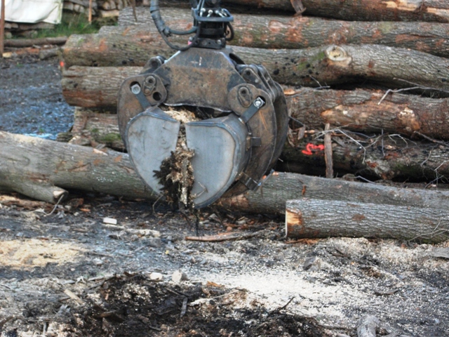 Kopie von DSCF6354.JPG