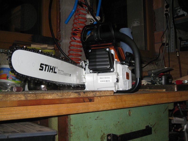 robin forstbilder 392.jpg