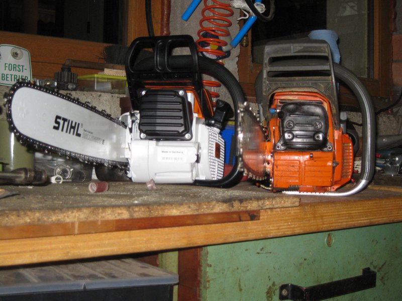 robin forstbilder 399.jpg