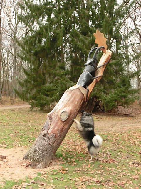 Forest'Art2012-1 web.JPG