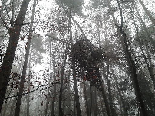 2012-11-17 13.43.33.jpg