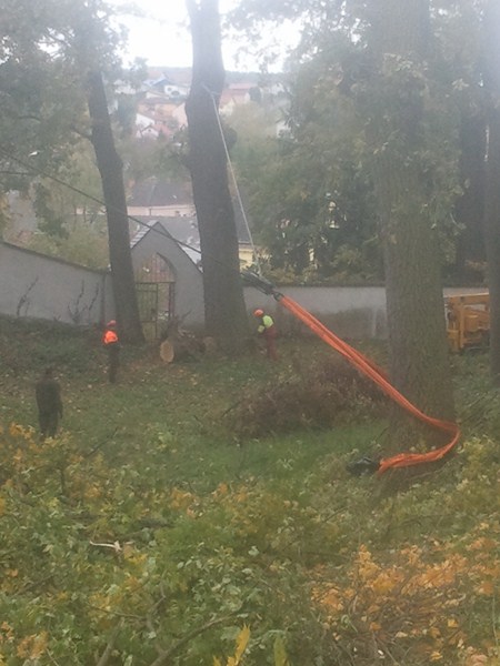 2012-10-09 10.15.29.jpg