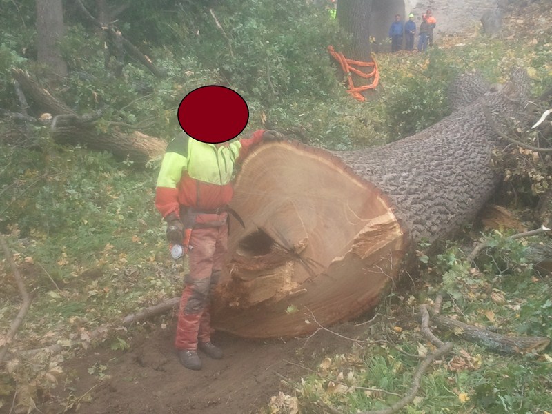 2012-10-09 10.37.25.jpg