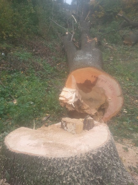 2012-10-09 16.07.37.jpg