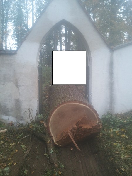 2012-10-10 08.00.08.jpg