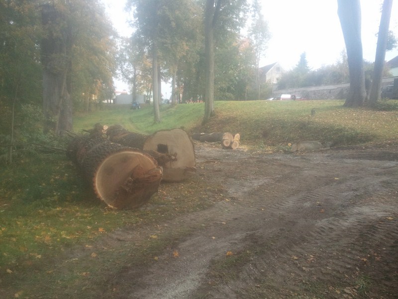 2012-10-10 15.37.41.jpg