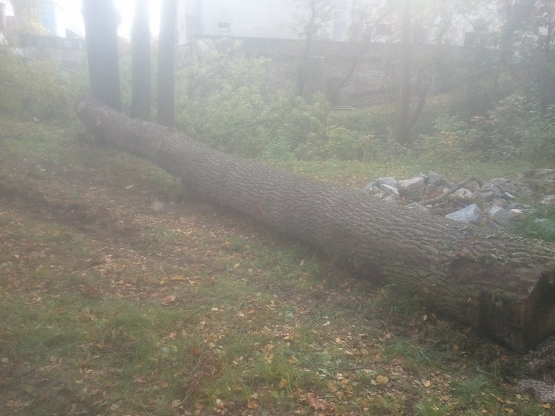 2012-10-10 15.37.47.jpg