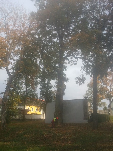 2012-10-10 15.55.53.jpg