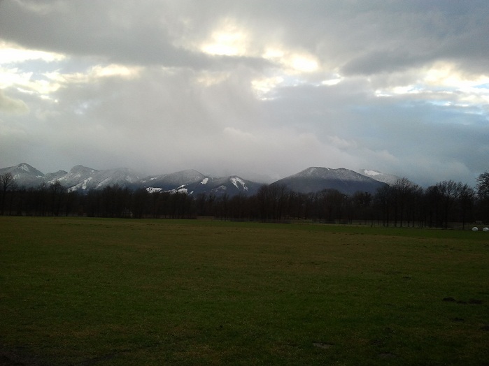 2012-12-28 15.37.31.jpg