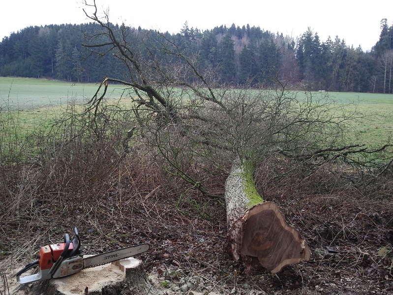 2013-01-03 10.26.39.jpg