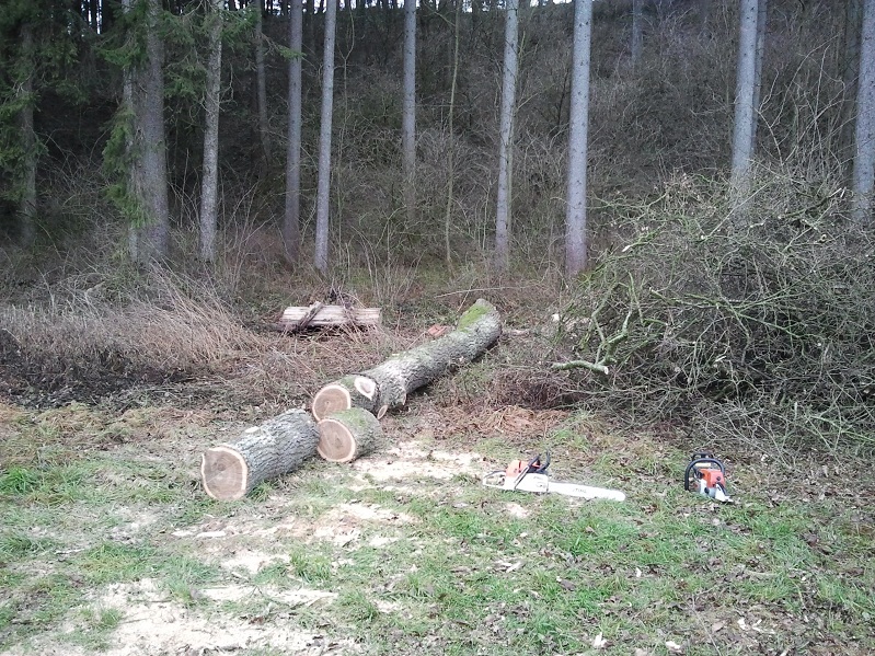 2013-01-03 11.33.04.jpg