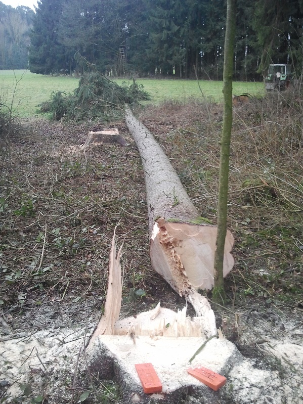 2013-01-03 13.48.31.jpg